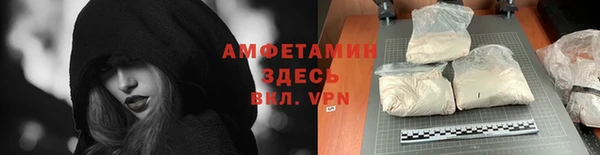 прущие грибы Богородск