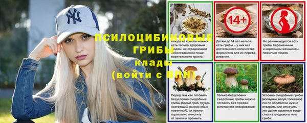mix Бородино