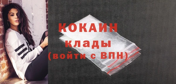 mix Бородино