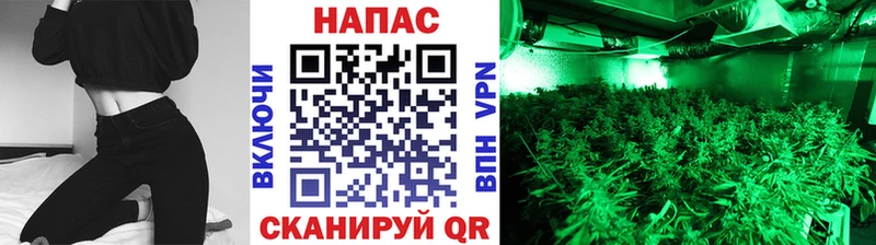 мега как войти наркота Высоцк Марихуана White Widow